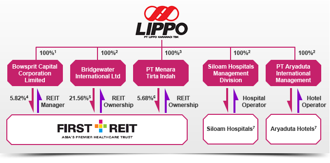 Sponsor Ownership Structure